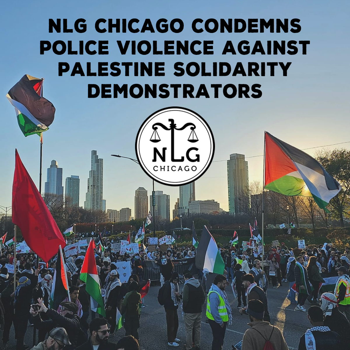 NLG Chicago Condemns Police Violence Against Palestine Solidarity ...